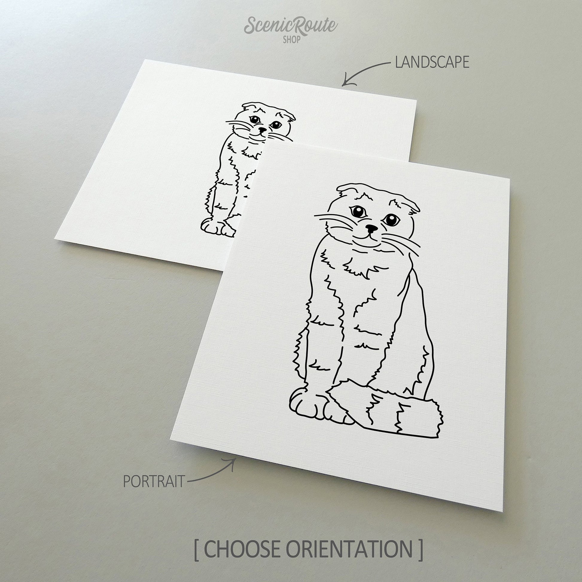 Two line art drawings of a Scottish Fold cat on white linen paper with a gray background.  The pieces are shown in portrait and landscape orientation for the available art print options.
