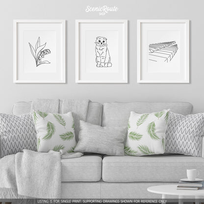 A group of three framed drawings on a white wall hanging above a couch with pillows and a blanket. The line art drawings include a Lily of the Valley Flower, a Scottish Fold cat, and a Piano