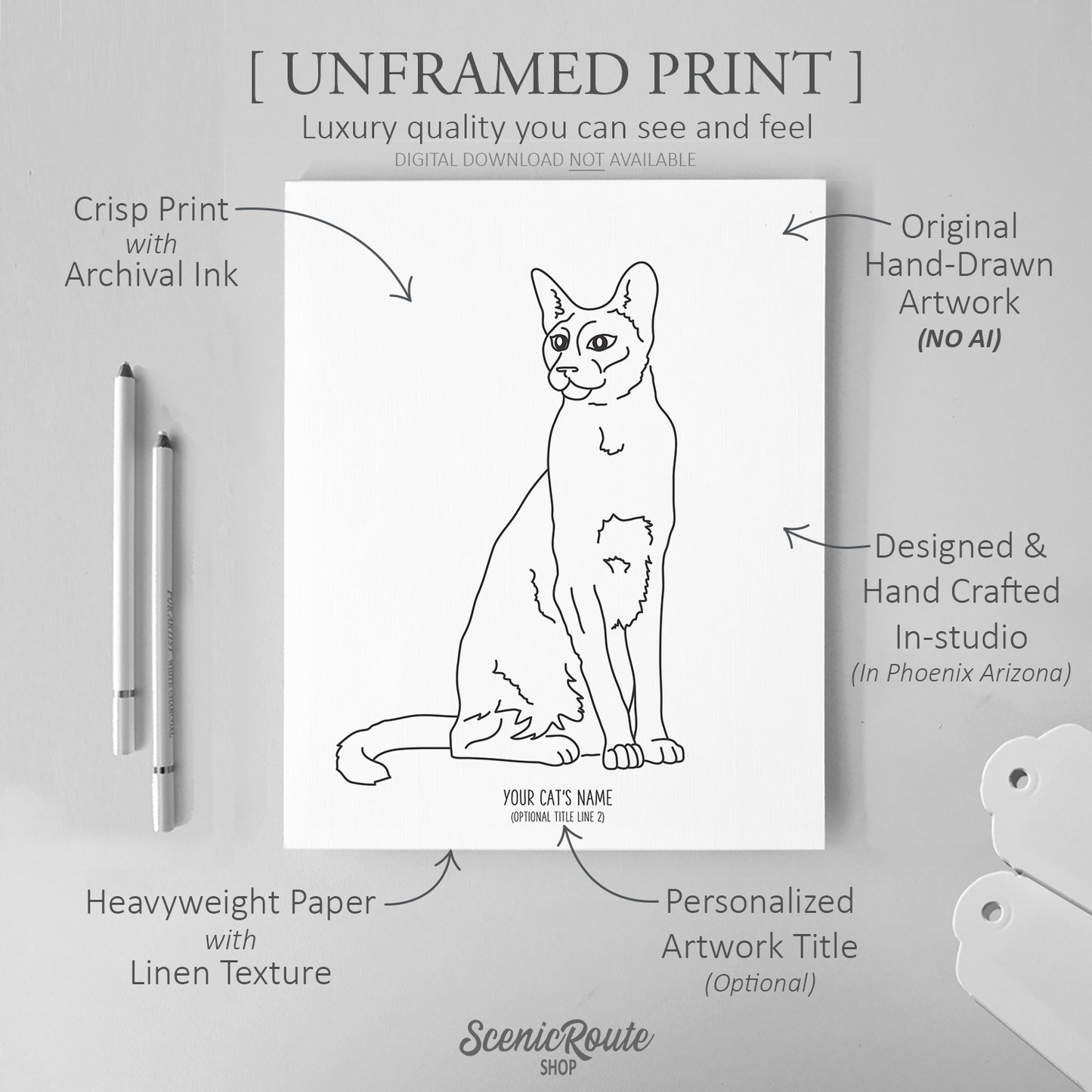 Siamese Cat Art Print