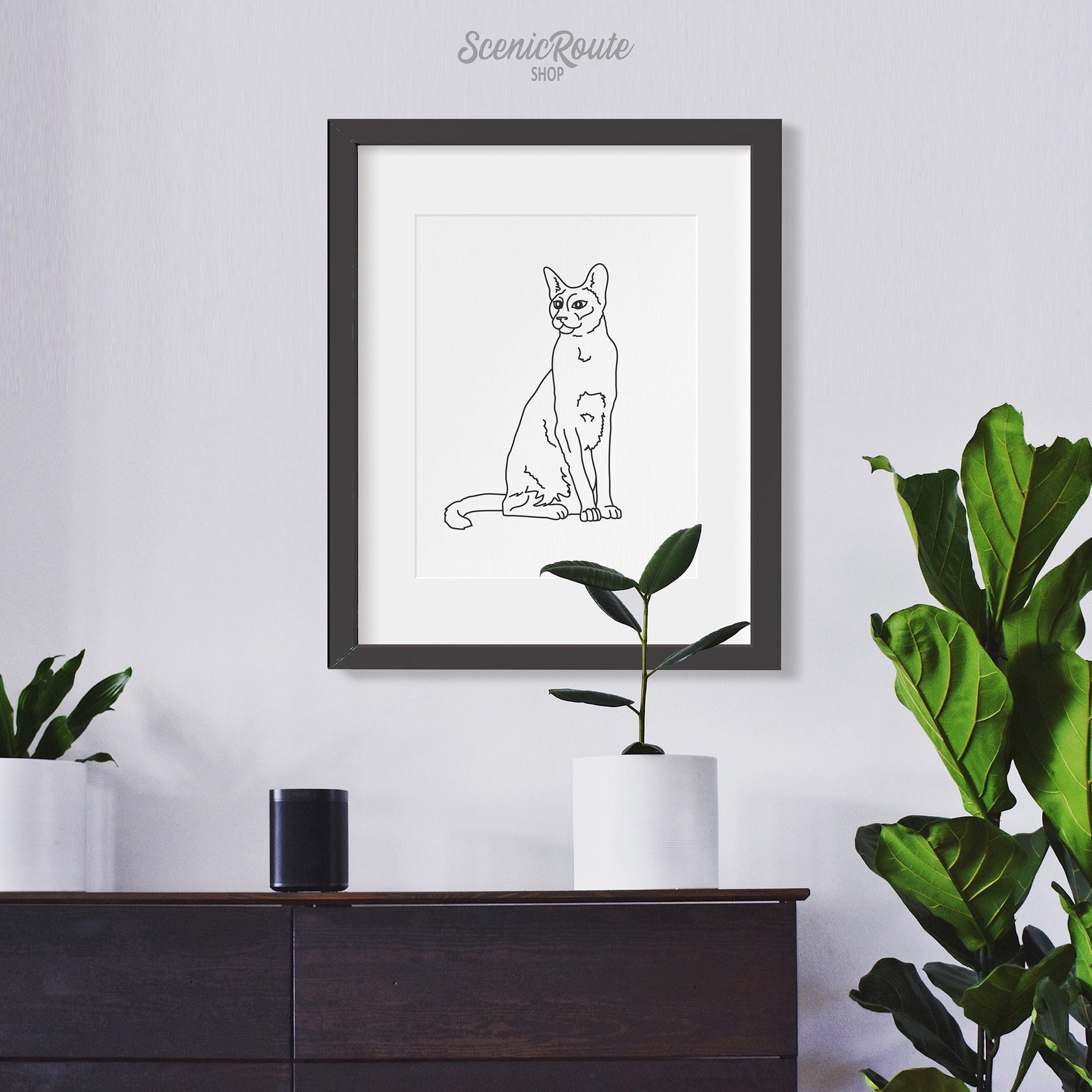 A framed line art drawing of a Siamese cat hanging above a dresser with plants