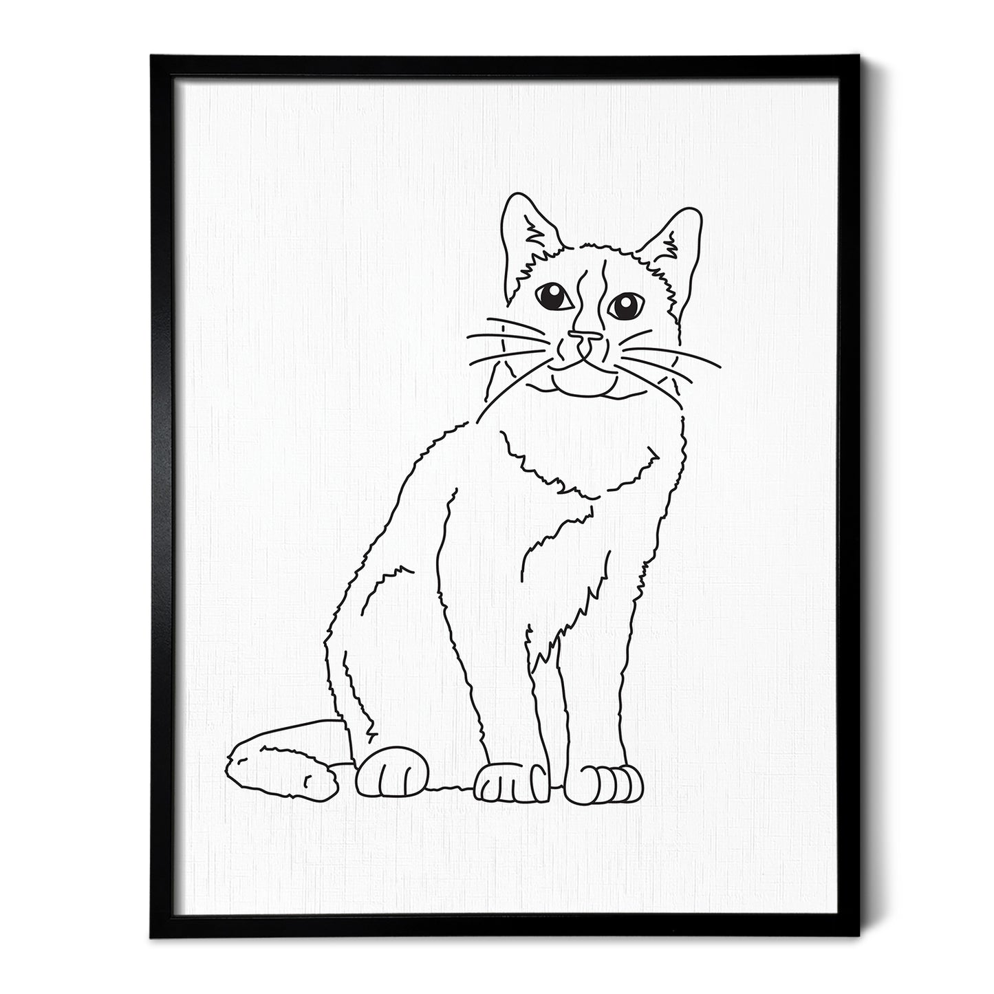 Snowshoe Cat Art Print