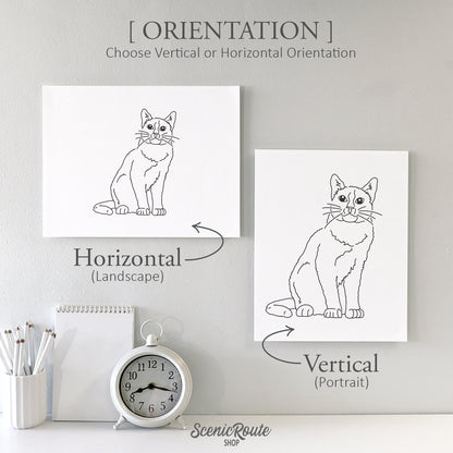 Snowshoe Cat Art Print