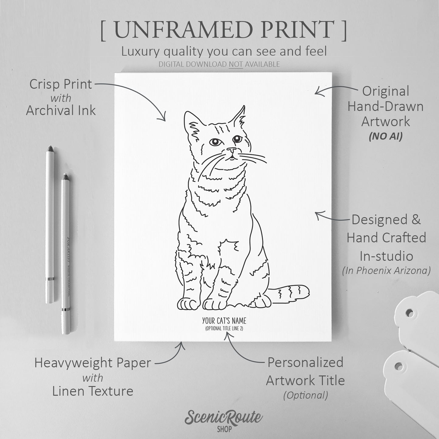Tabby Cat Art Print