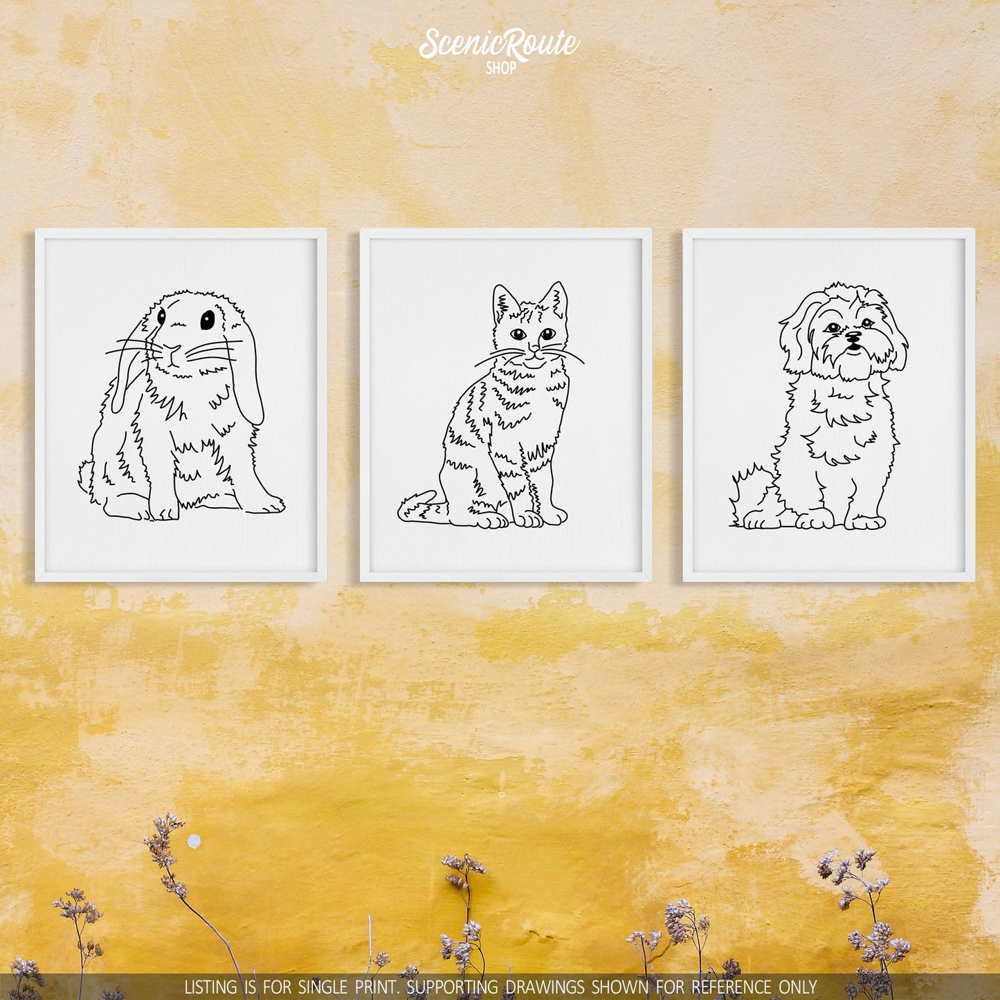 A group of three framed drawings on a yellow wall. The line art drawings include a Mini Lop Rabbit, a Tabby Cat, and a Shih Tzu dog