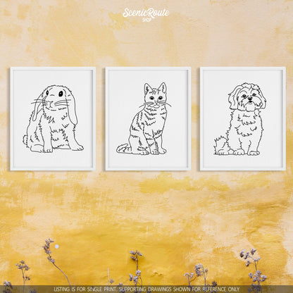 A group of three framed drawings on a yellow wall. The line art drawings include a Mini Lop Rabbit, a Tabby Cat, and a Shih Tzu dog