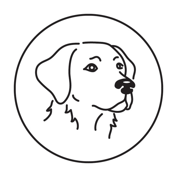 Dogs