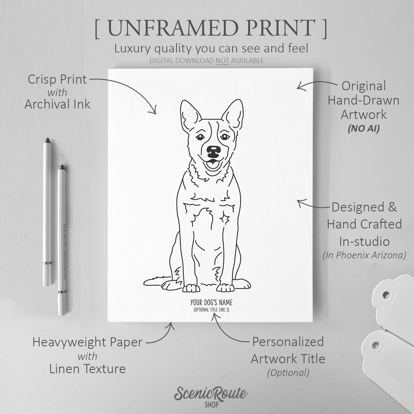 Australian Cattle Dog Art Print (Blue Heeler / Red Heeler / Queensland Heeler)