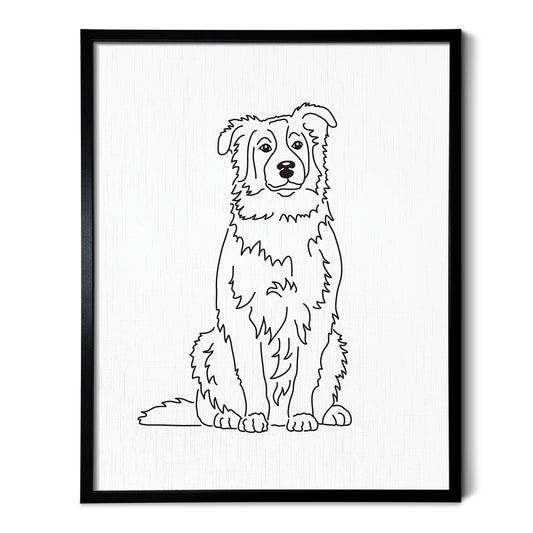 Australian Shepherd Art Print