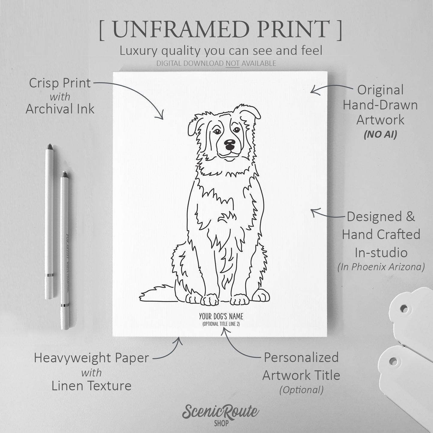 Australian Shepherd Art Print