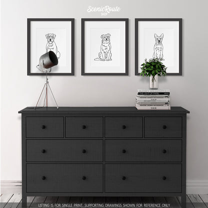 Australian Shepherd Art Print