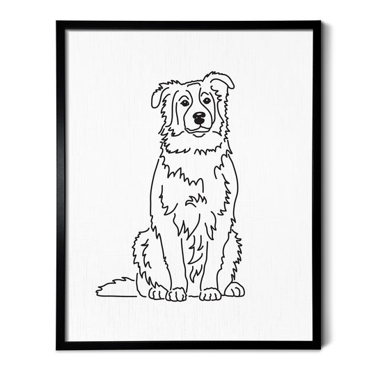 Australian Shepherd Art Print