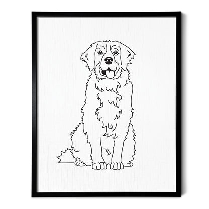 Bernese Mountain Dog Art Print