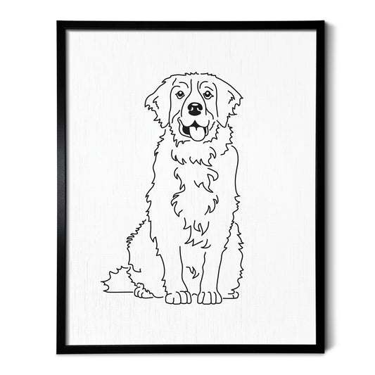 Bernese Mountain Dog Art Print
