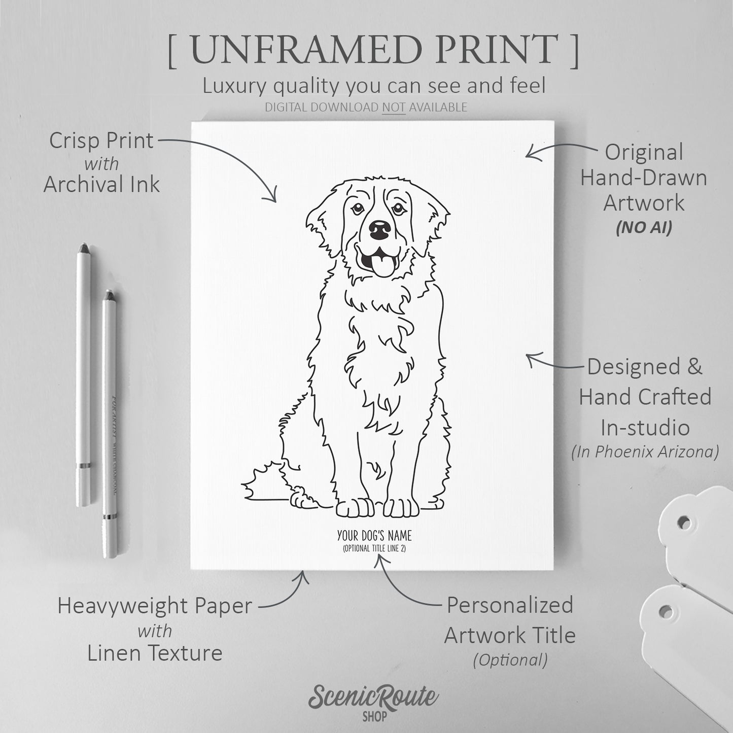 Bernese Mountain Dog Art Print
