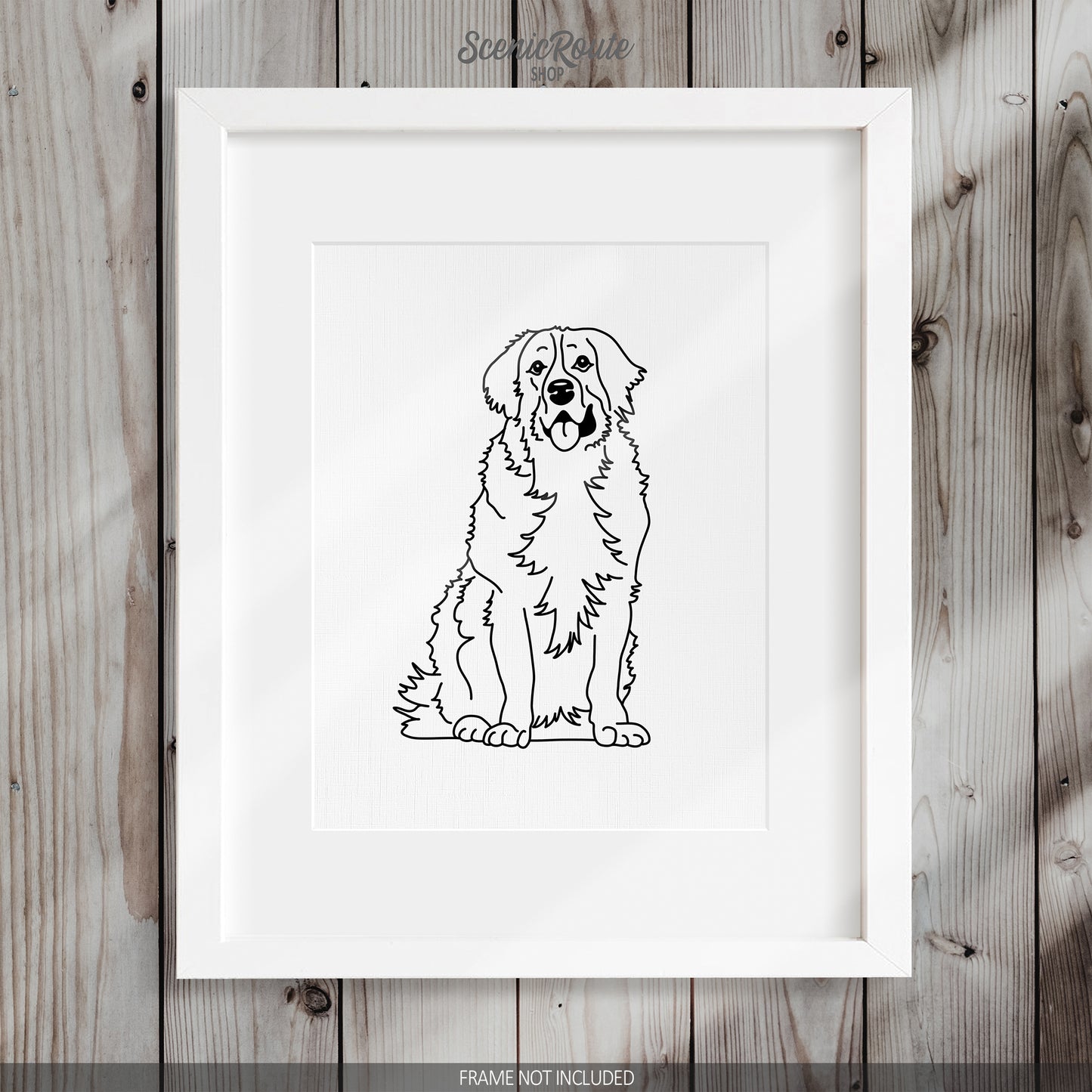 Bernese Mountain Dog Art Print