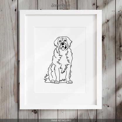 Bernese Mountain Dog Art Print