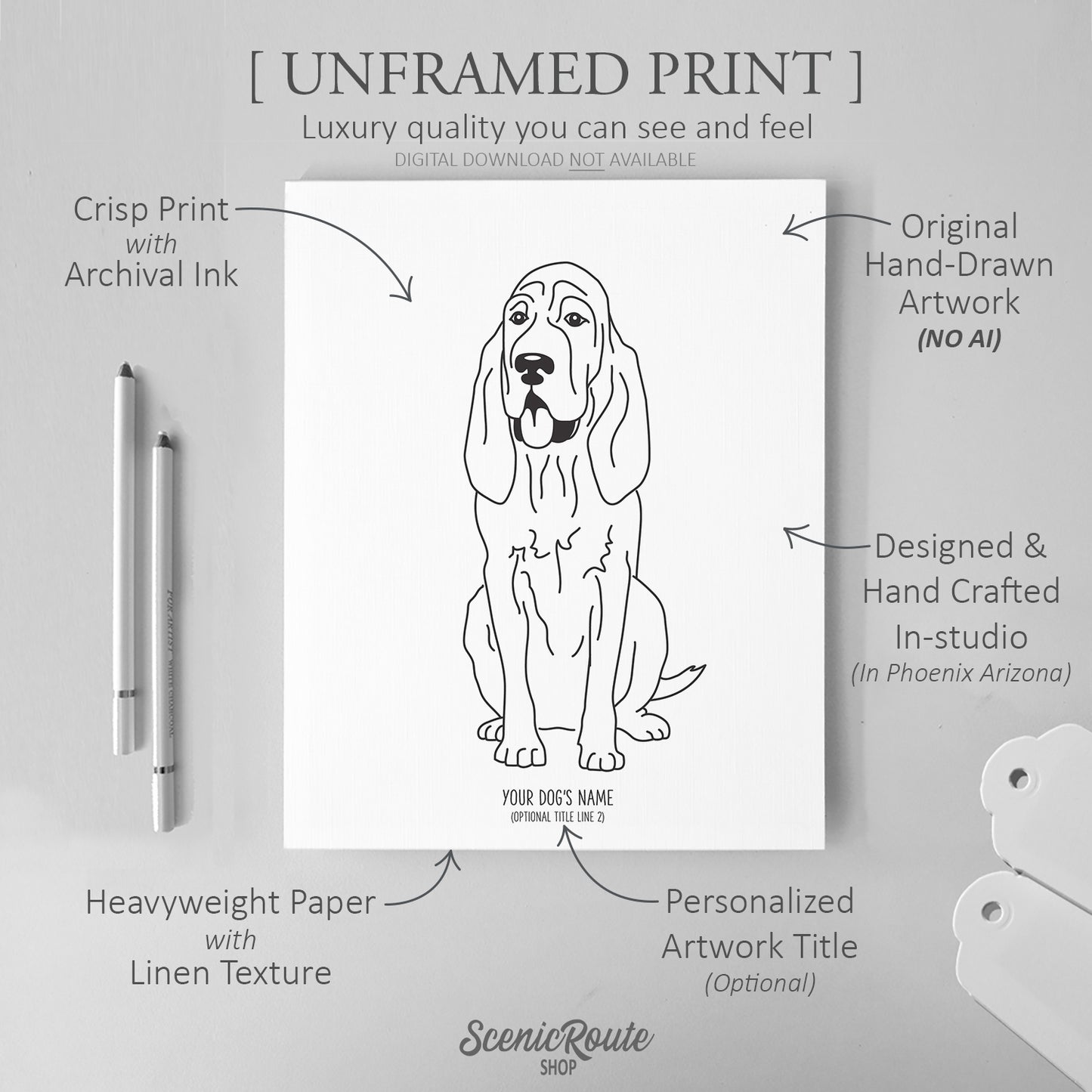 Bloodhound Art Print