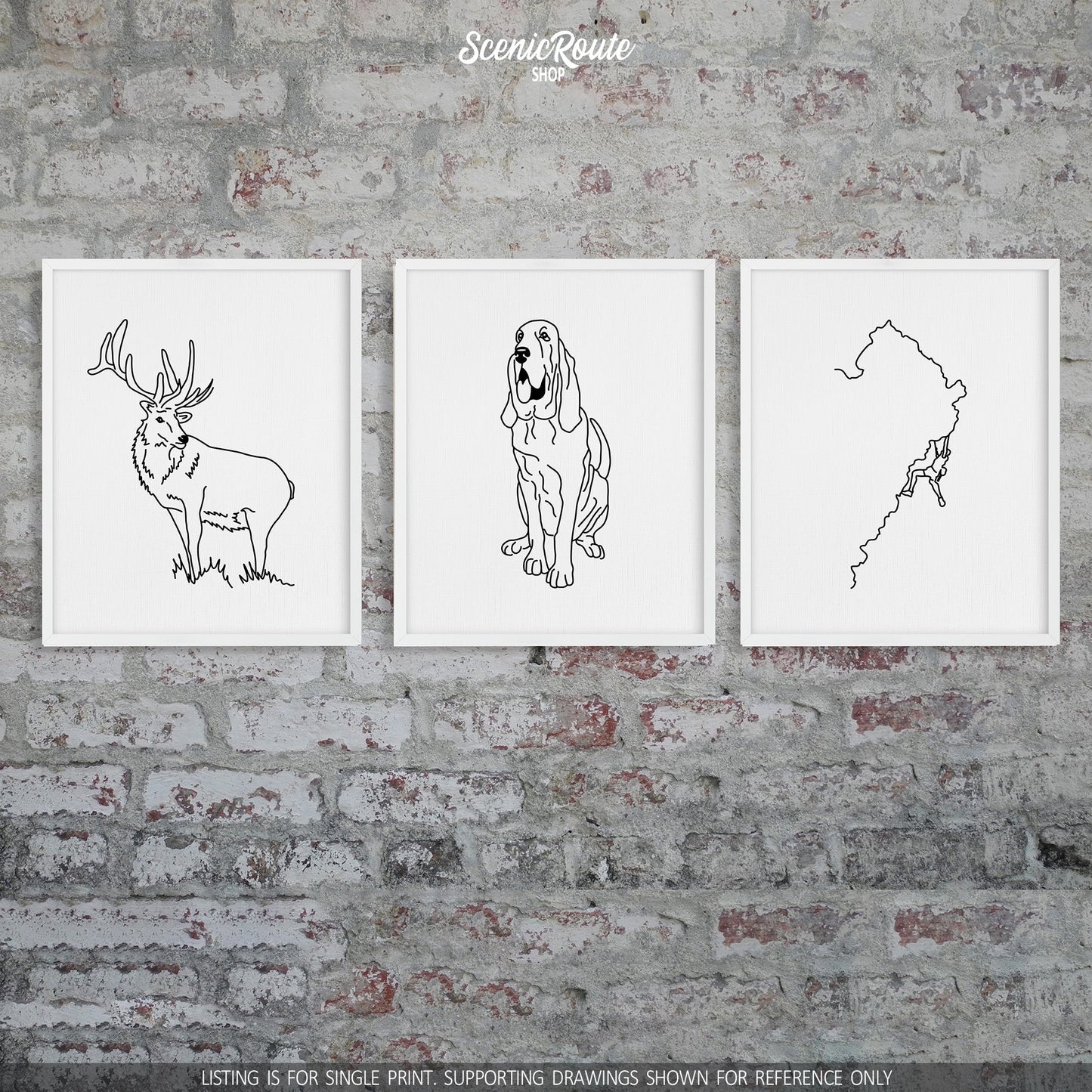 A group of three framed drawings on a brick wall.  The line art drawings include an Elk, a Bloodhound dog, and Rock Climbing