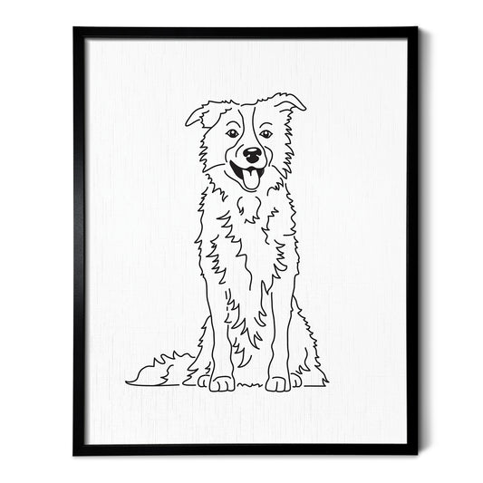 Border Collie Art Print