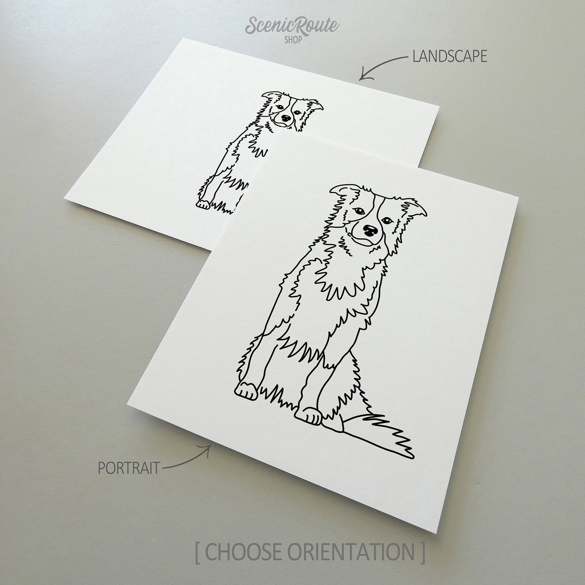 Two drawings of a Border Collie dog on white linen paper with a gray background.  Pieces are shown in portrait and landscape orientation options to illustrate the available art print options.