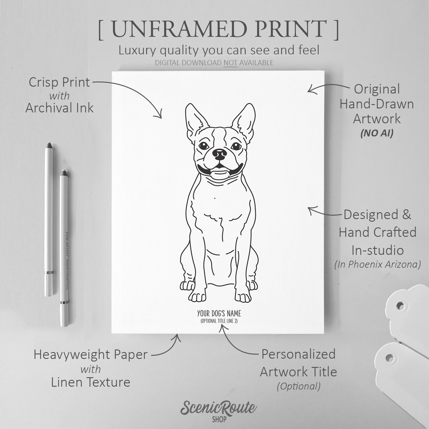 Boston Terrier Art Print