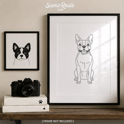 Boston Terrier Art Print