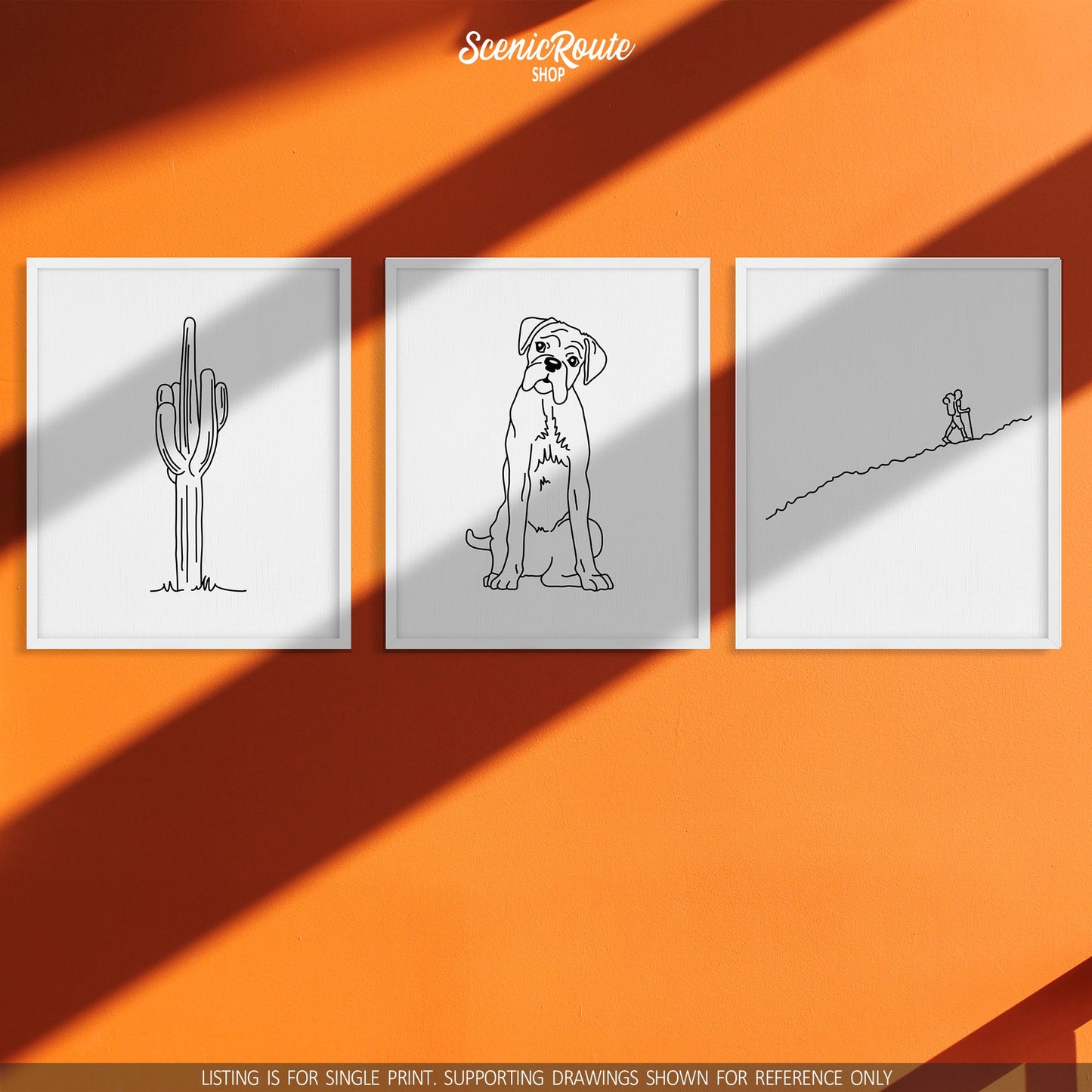 A group of three framed drawings on an orange wall with sun shadows. The line art drawings include a Saguaro Cactus, a Boxer dog, and a person Hiking.