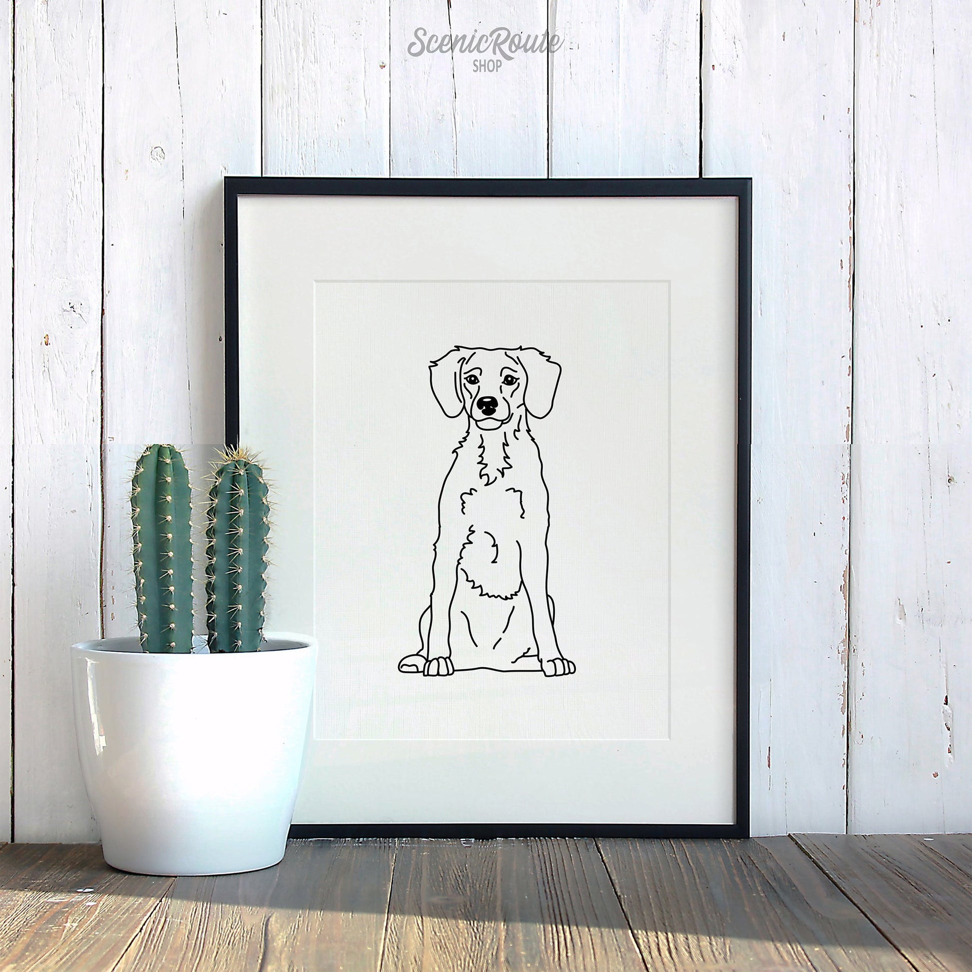 A framed line art drawing of a Brittany Spaniel Dog sitting on a wood floor leaning against a white wood wall next to a cactus