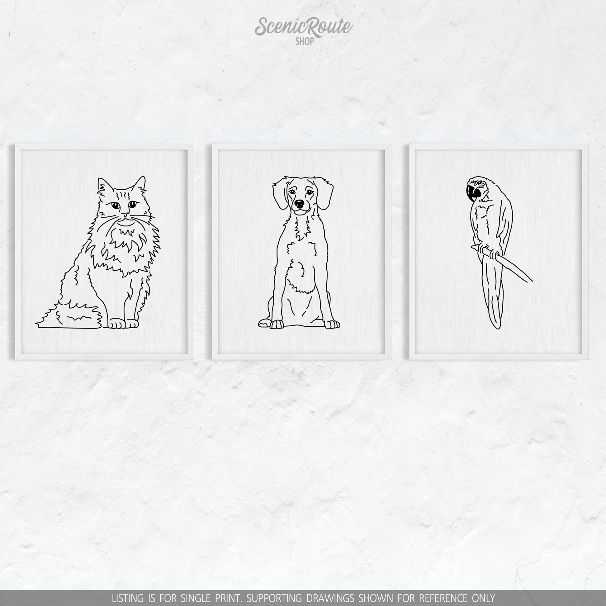 A group of three framed drawings on a white wall.  The line art drawings include a Norwegian Forest cat, a Brittany Spaniel dog, and a Parrot