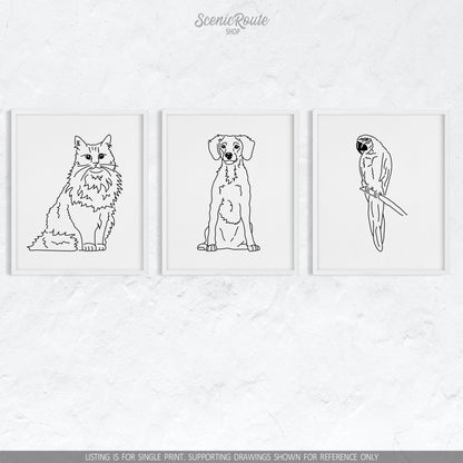 A group of three framed drawings on a white wall.  The line art drawings include a Norwegian Forest cat, a Brittany Spaniel dog, and a Parrot