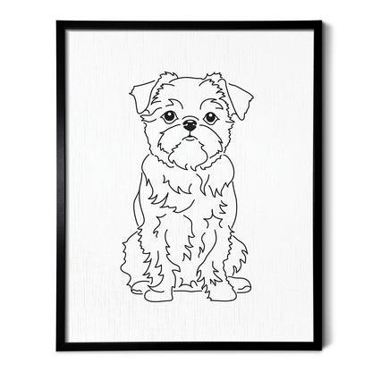 Brussels Griffon