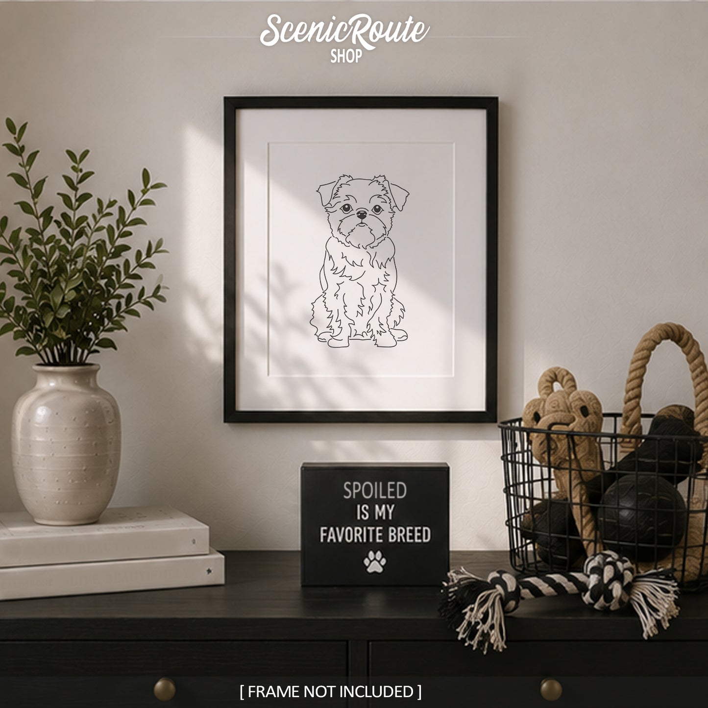 Brussels Griffon