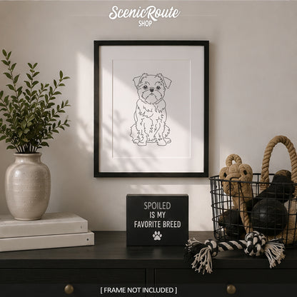 Brussels Griffon