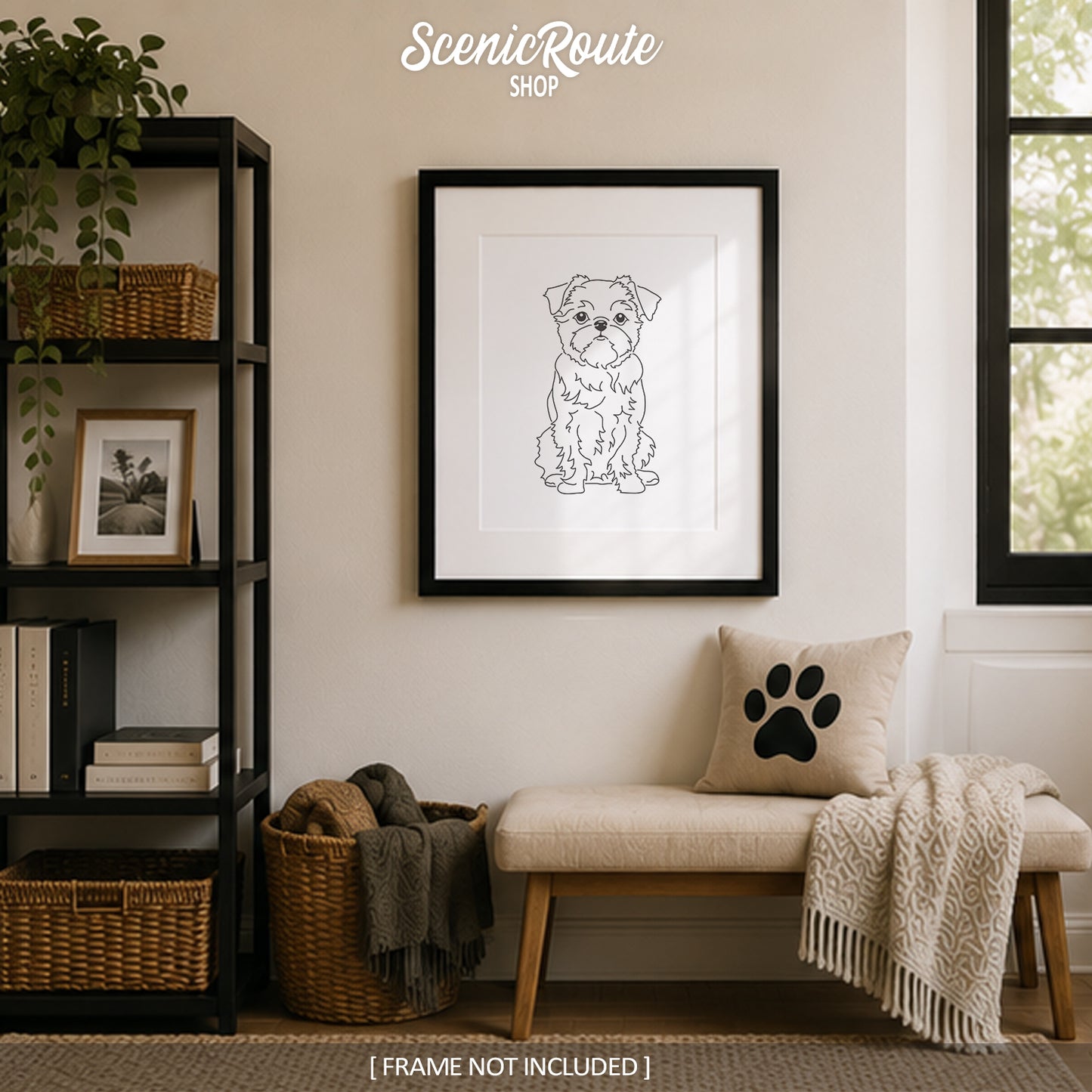 Brussels Griffon