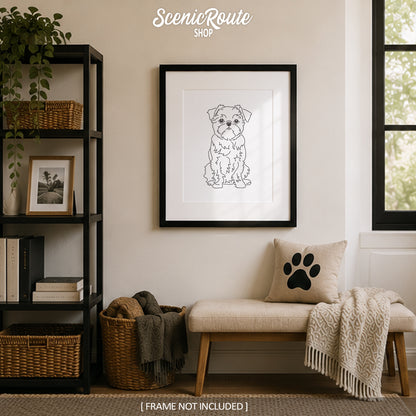 Brussels Griffon