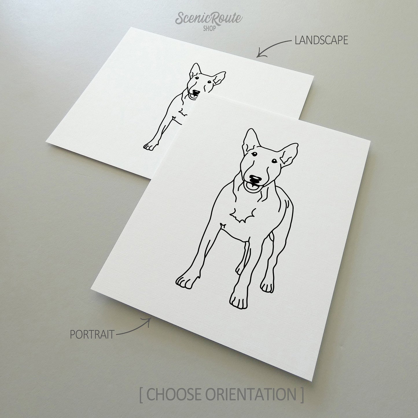 Two drawings of a Bull Terrier dog on white linen paper with a gray background.  Pieces are shown in portrait and landscape orientation options to illustrate the available art print options.