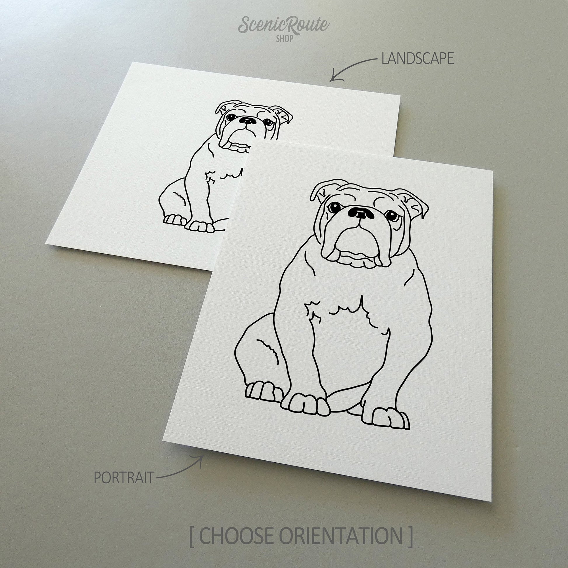 Two drawings of a Bulldog dog on white linen paper with a gray background.  Pieces are shown in portrait and landscape orientation options to illustrate the available art print options.