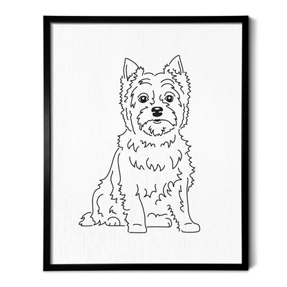 Cairn Terrier