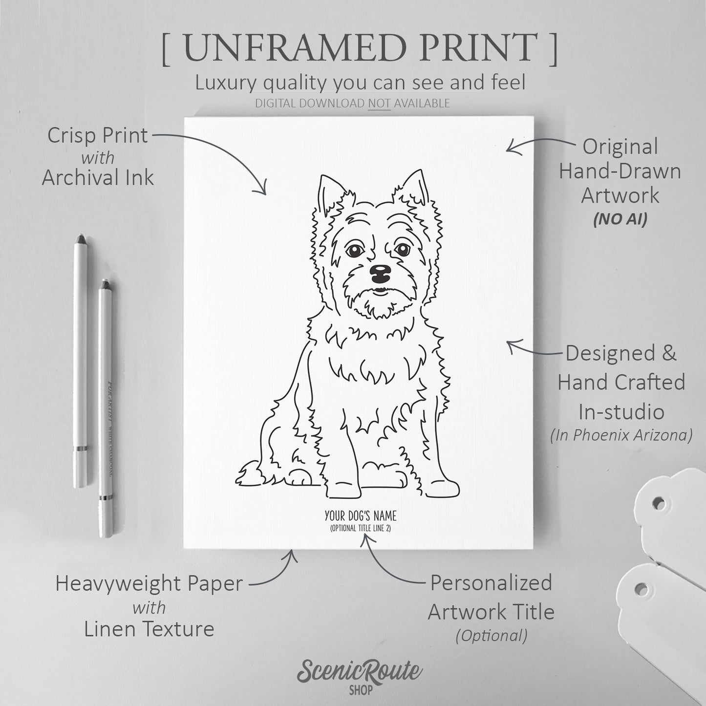 Cairn Terrier