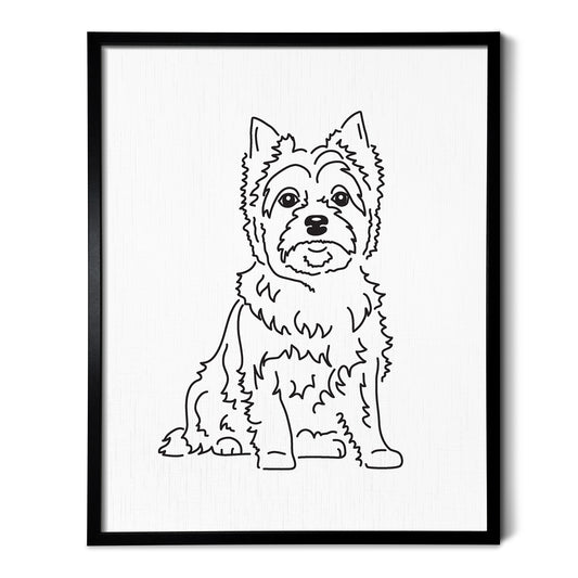 Cairn Terrier