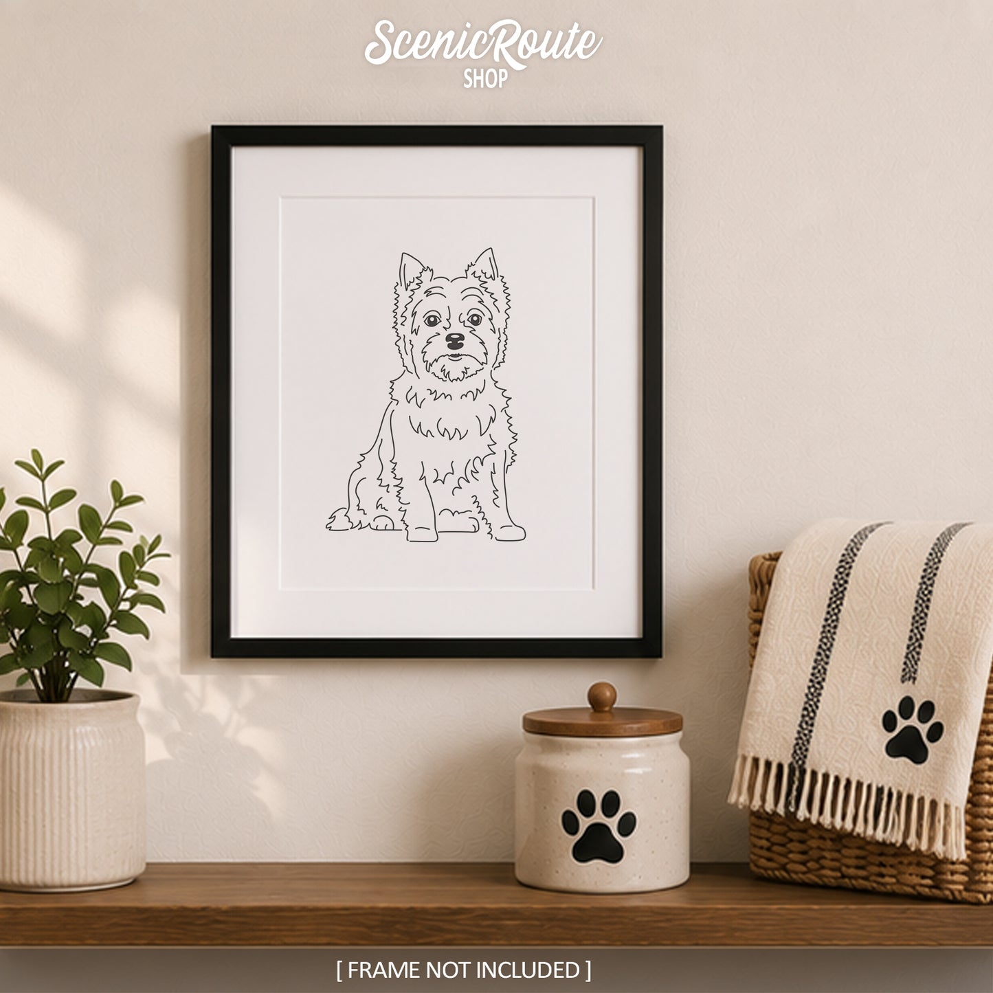Cairn Terrier
