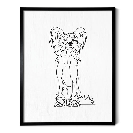 Chinese Crested