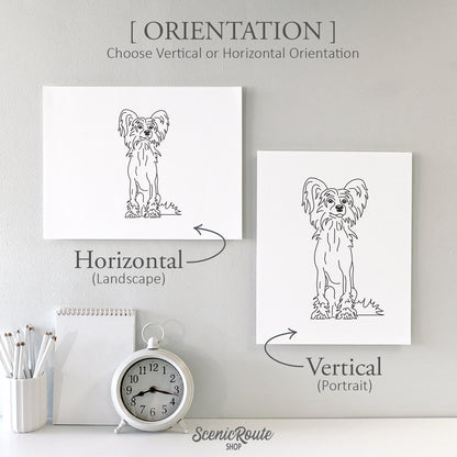 Chinese Crested