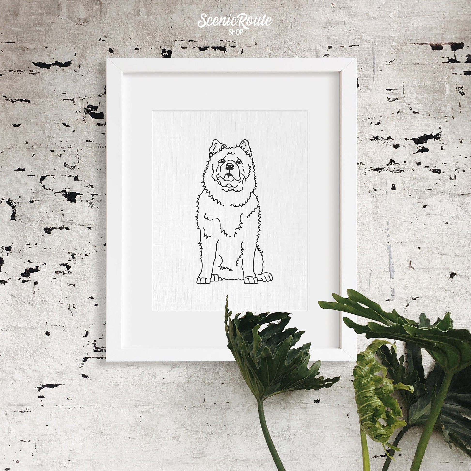 A framed line art drawing of a Chow dog on a white wall with a plant below
