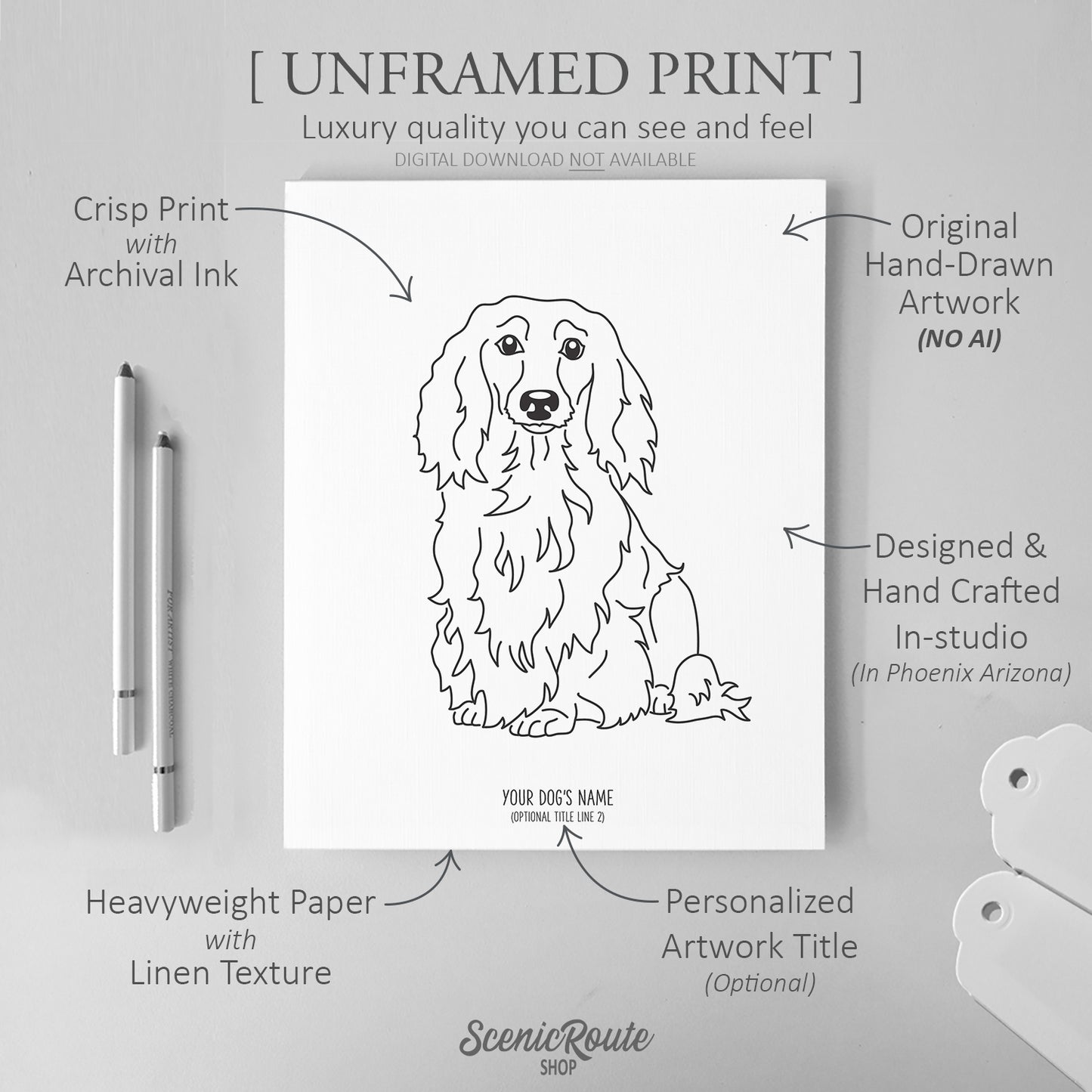 Dachshund (Long Haired) Art Print