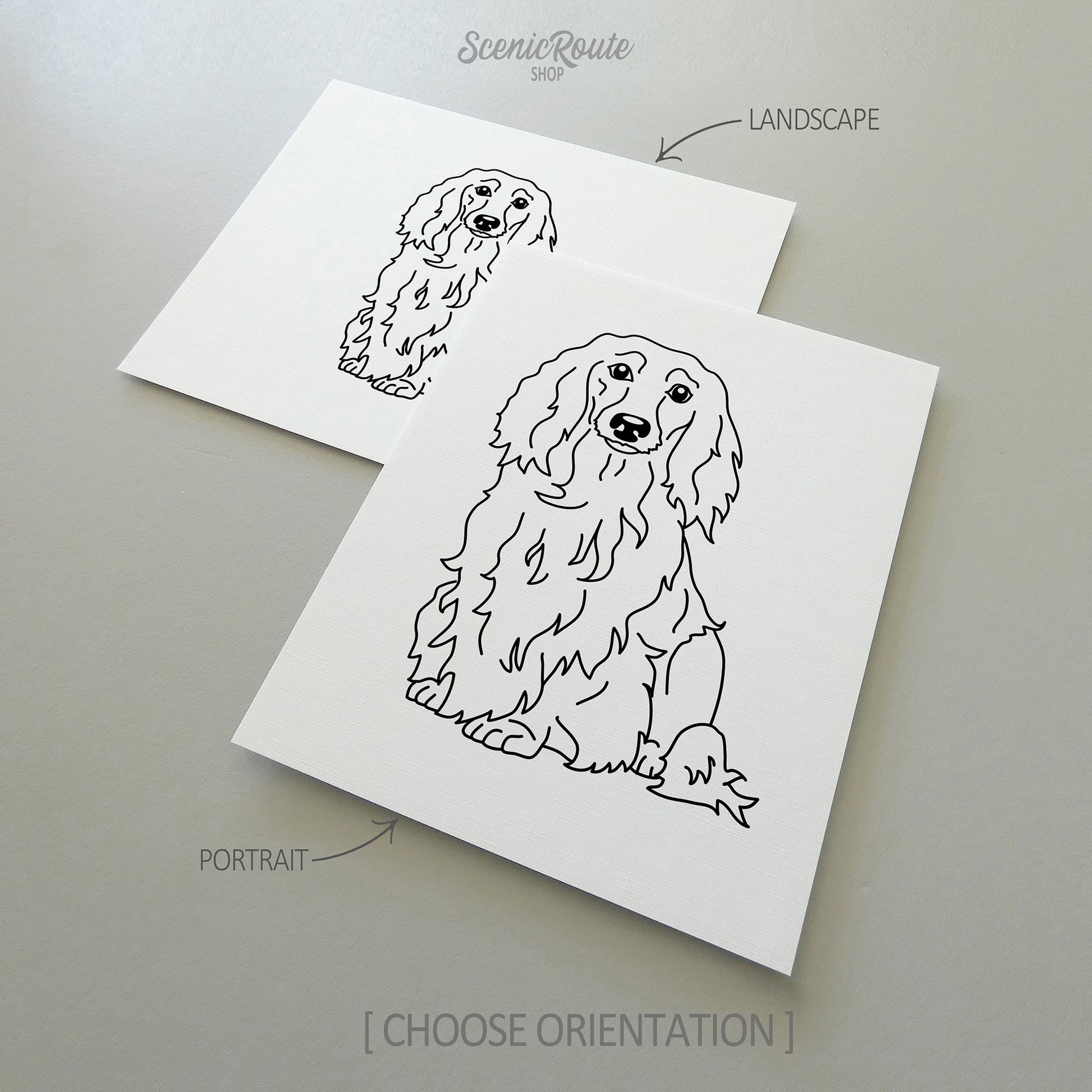 Two drawings of a Long Haired Dachshund dog on white linen paper with a gray background.  Pieces are shown in portrait and landscape orientation options to illustrate the available art print options.