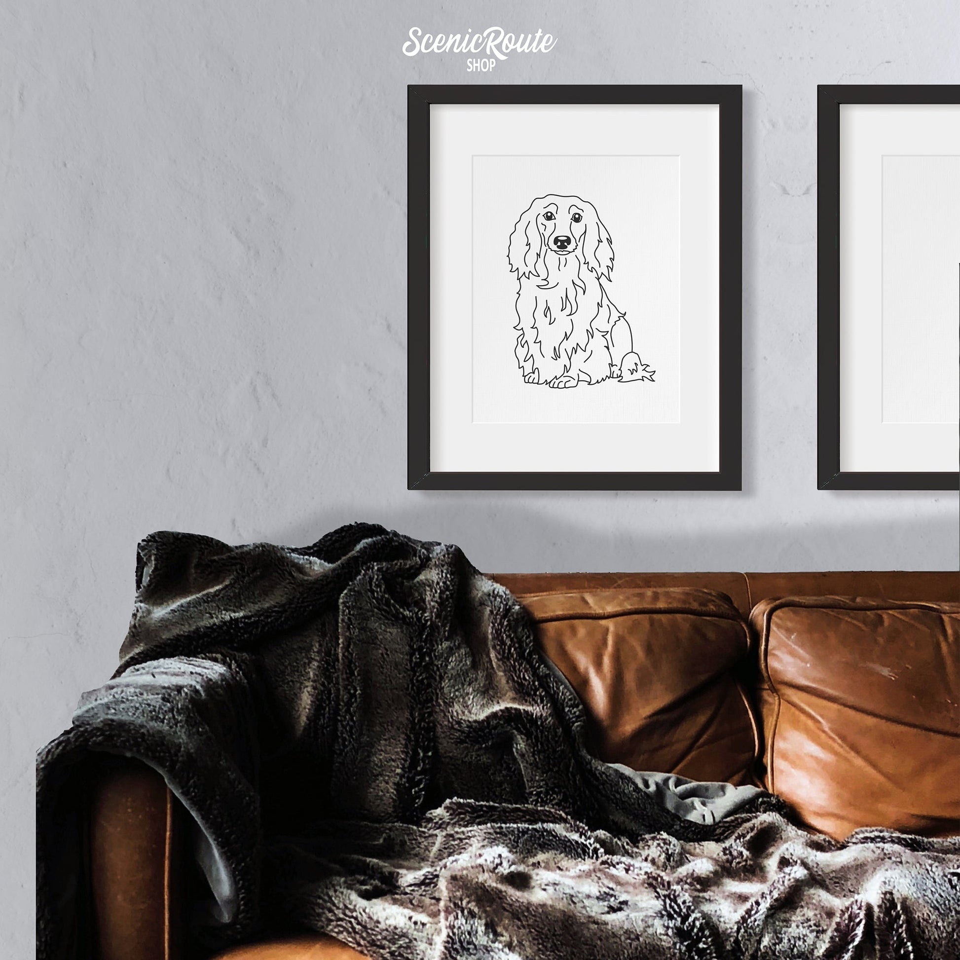 A framed line art drawing of a Long Haired Dachshund dog on a white wall above a couch with a blanket
