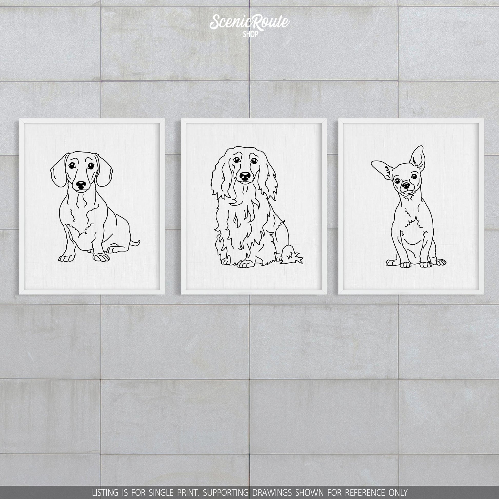 A group of three framed drawings on a block wall.  The line art drawings include a Dachshund dog, a Long Haired Dachshund dog, and a Chihuahua dog