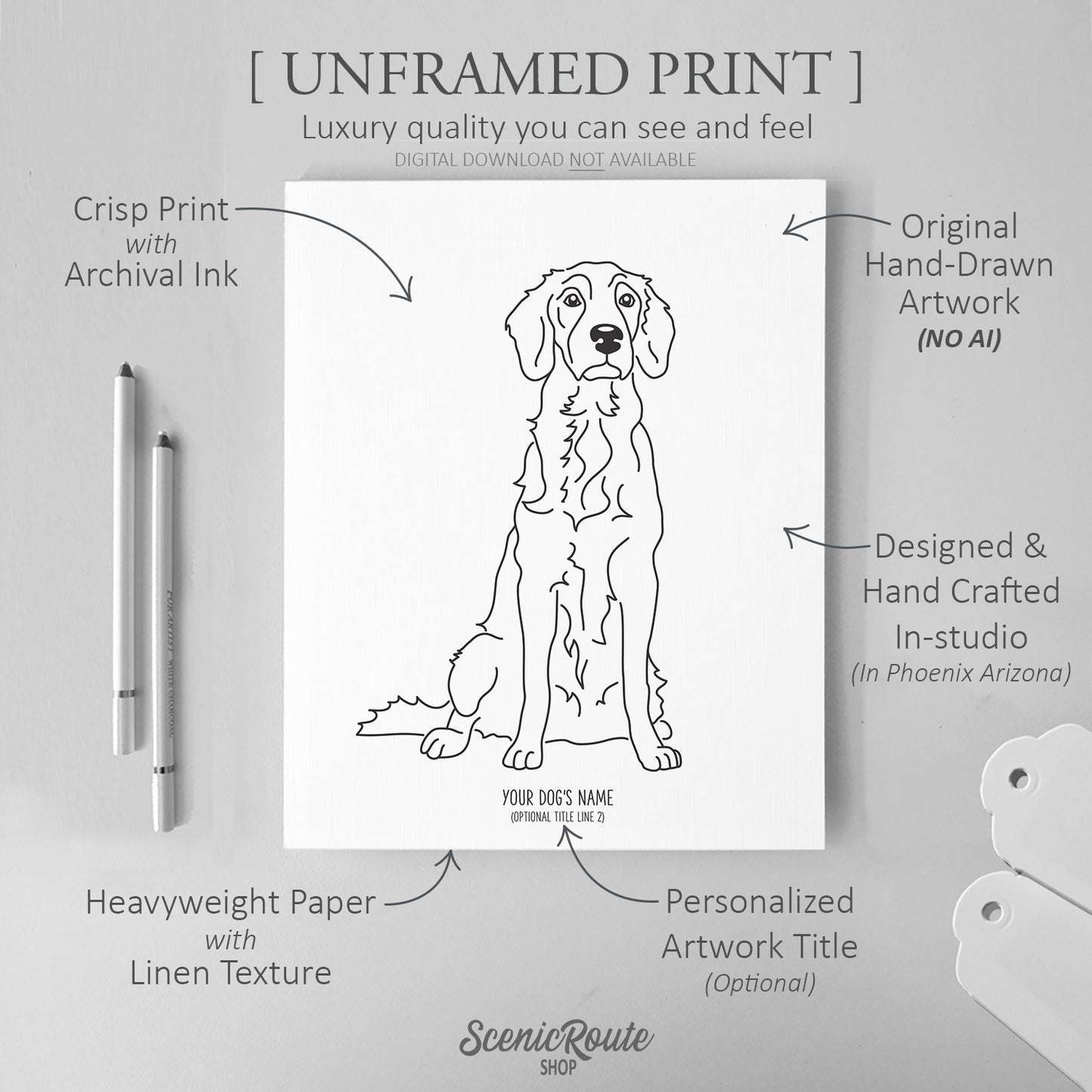 English Setter Art Print