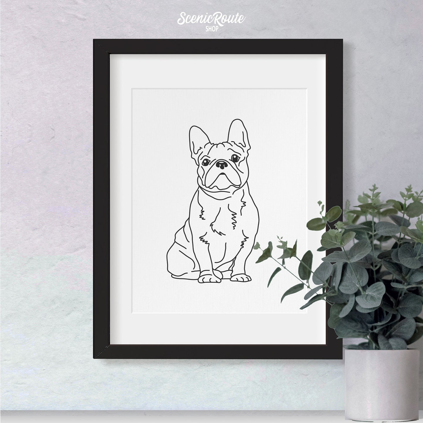 A framed line art drawing of a French Bulldog dog on a white wall with a plant